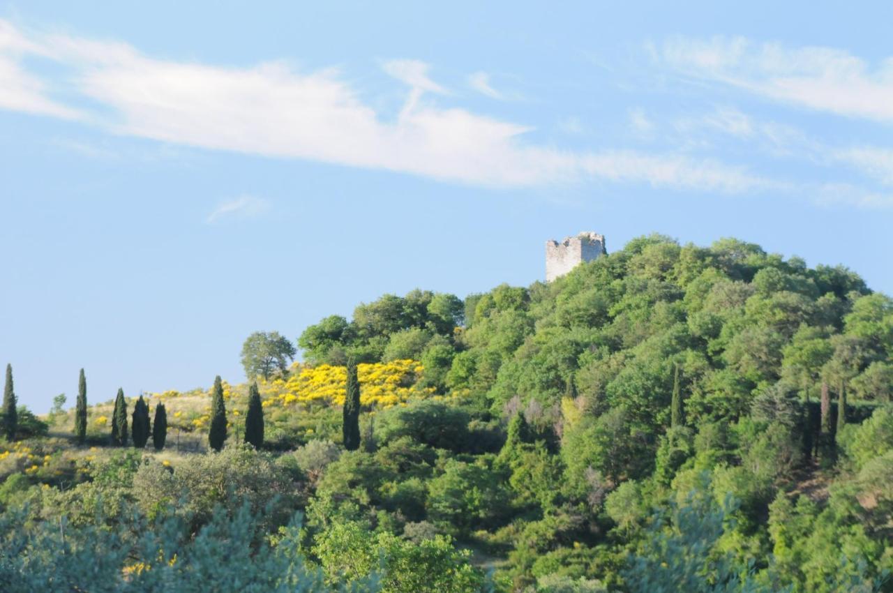 Agriturismo Panorama Sul Lago Passignano sul Trasimeno Luaran gambar